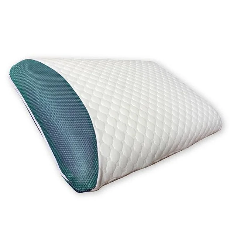 Maison Blanche-Eucalyptus Memory FoamPillow - White