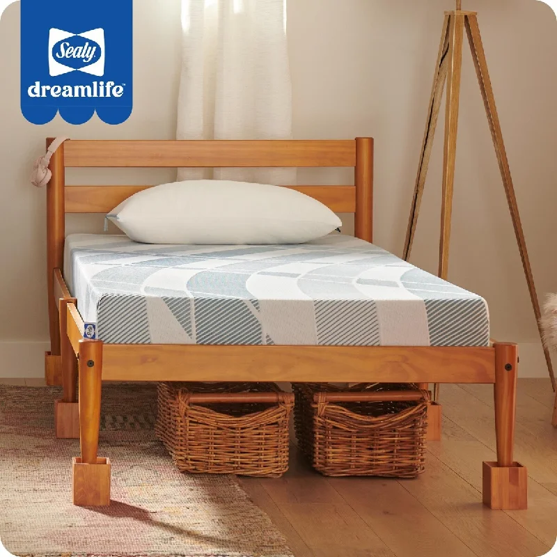 Sealy Dreamlife 6" Foam Mattress-in-a-Box, Full