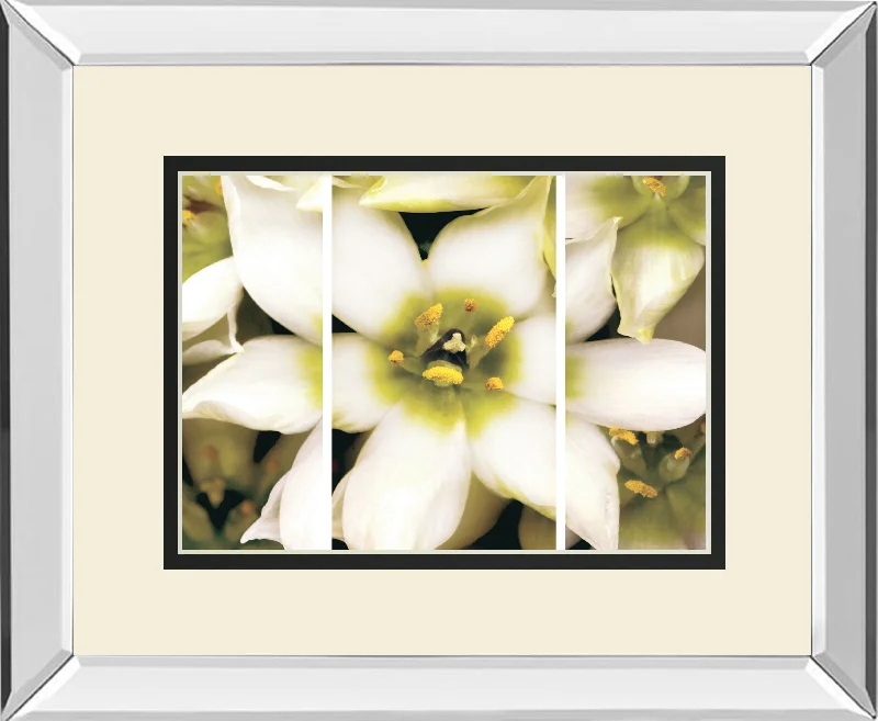 Star Of Bethlehem Triptych By Levine A. Mirrored Frame - White